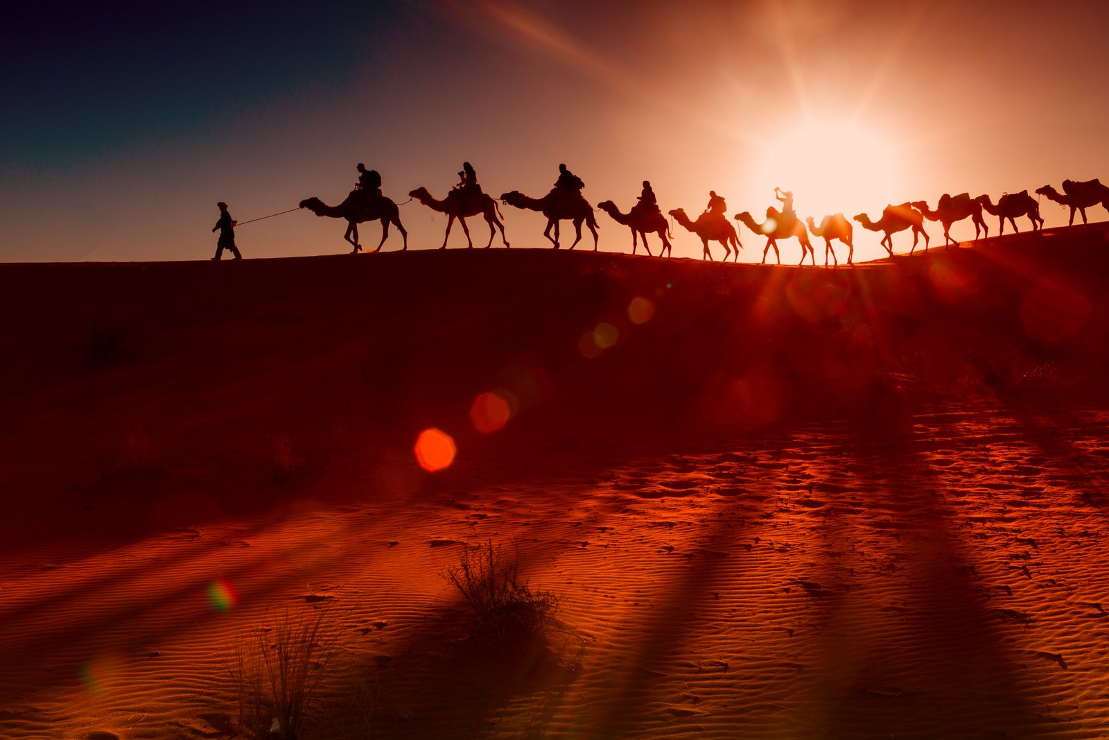 Camel caravan